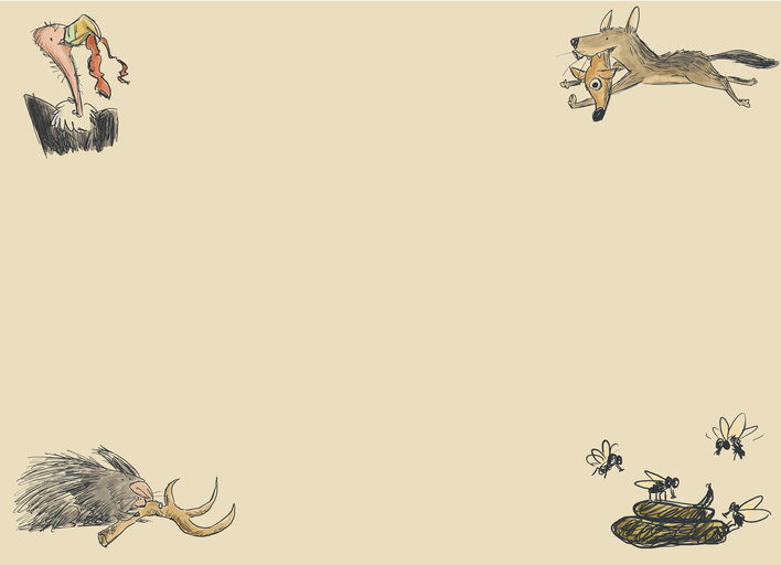 Scavengers of the Forest