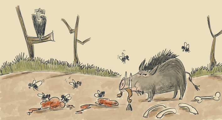 Wild Board Eating Tail