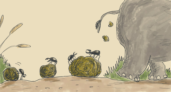 Elephant Pooping