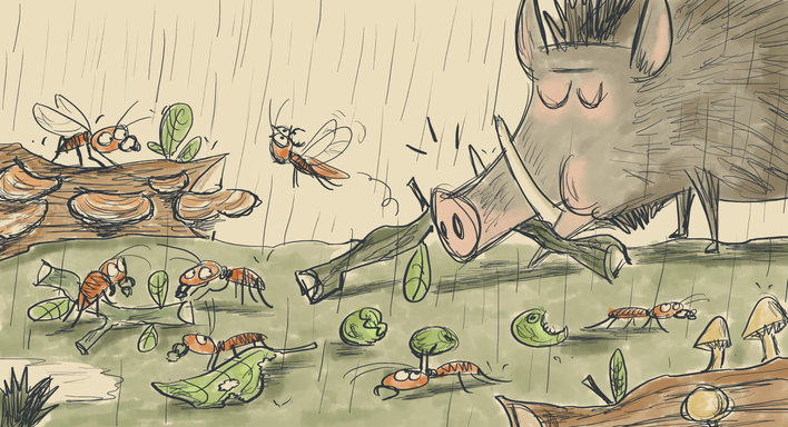 Termites looking at Wild Boar