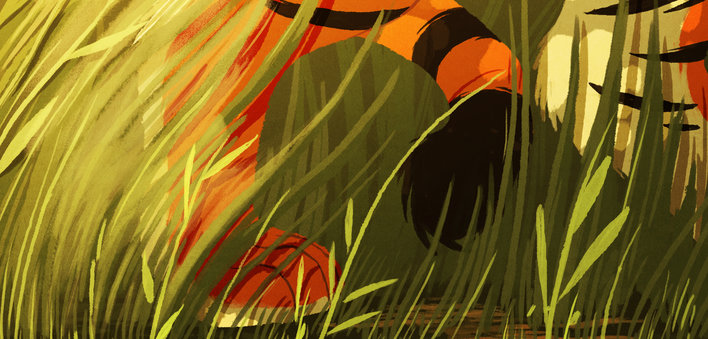 A tiger's feet