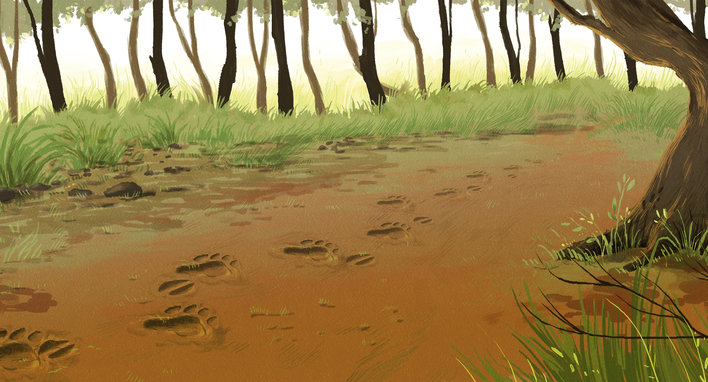 Deer footprint