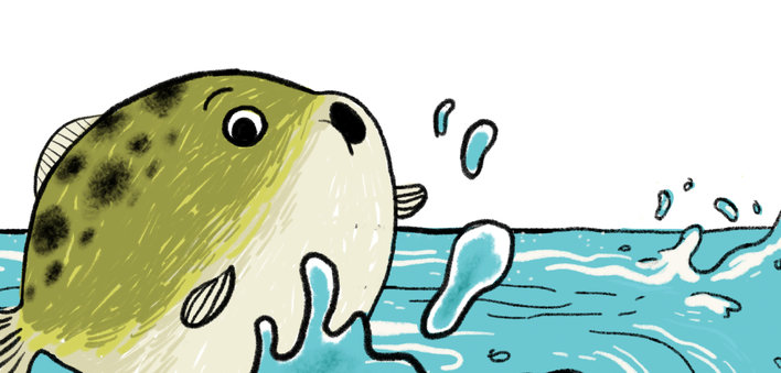 A puffer fish in the water