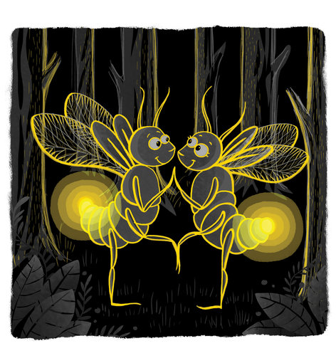 Fireflies