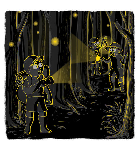 Children with lights in the forest at night