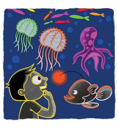 The boy watching luminous marine creatures