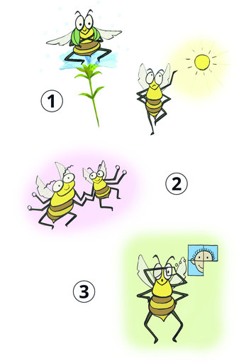 Buzzing bees