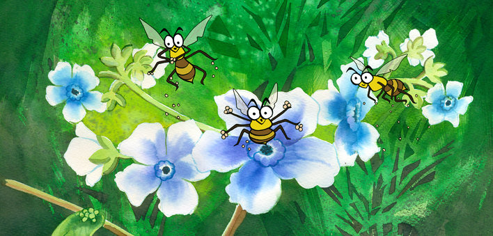 Bees on flowers