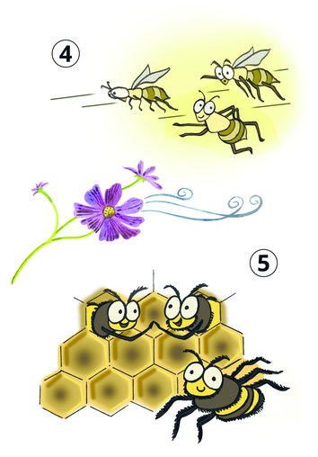 Beehives, flying bees