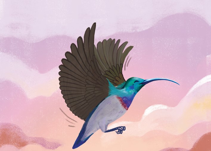A sunbird flaps its wings