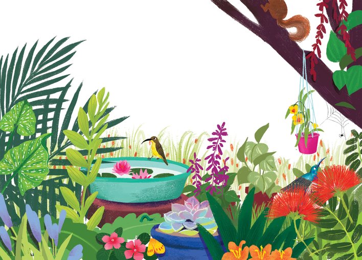 Two sunbirds sitting in a garden