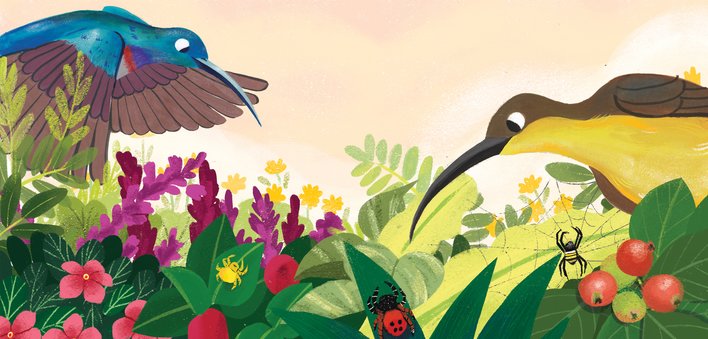 Two sunbirds are searching for food