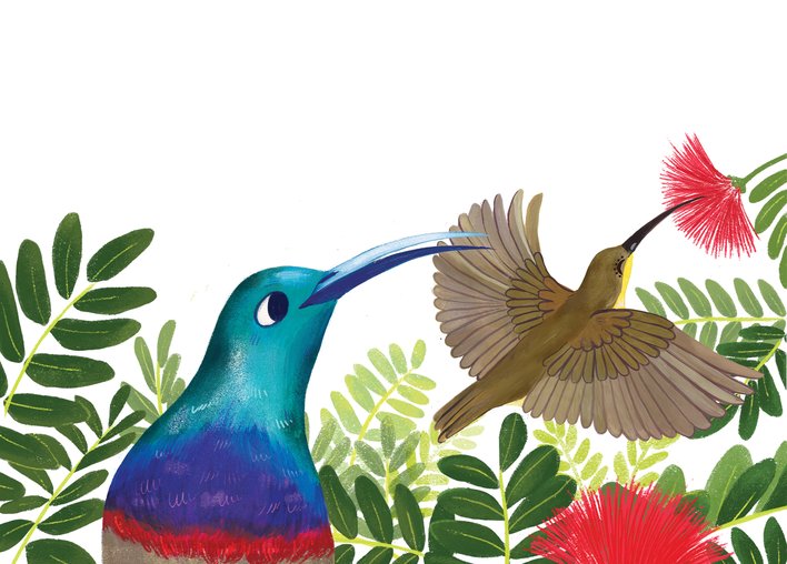 A sunbird looks at another sunbird putting its beak in a flower