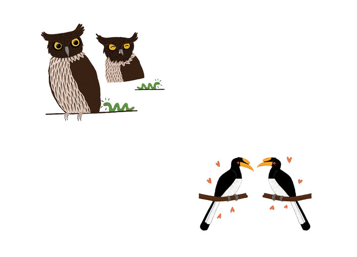 Owls, worms and hornbills