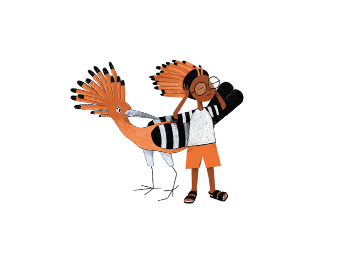 A hoopoe and a boy