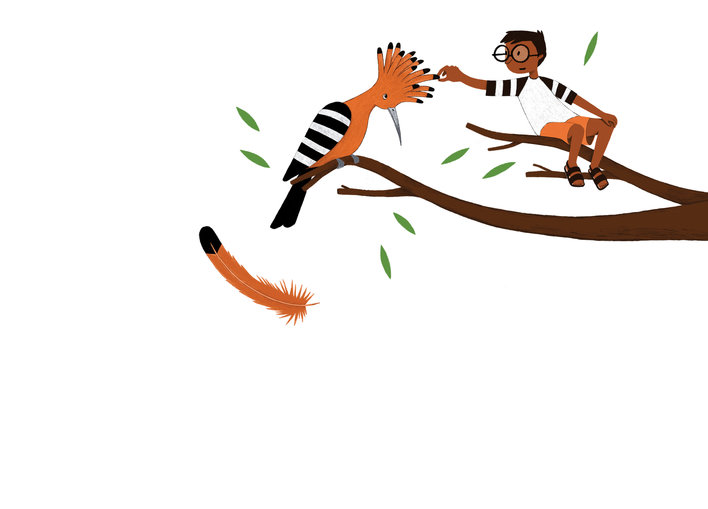Hoopoe and a boy sitting on a branch
