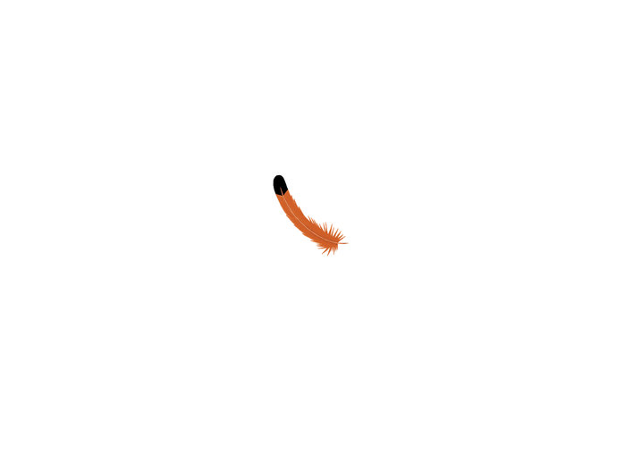 Feather