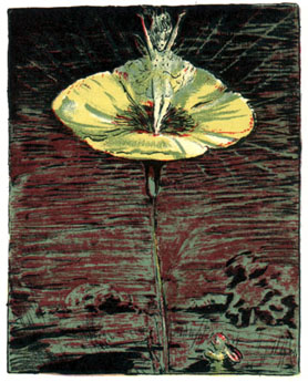 fairy